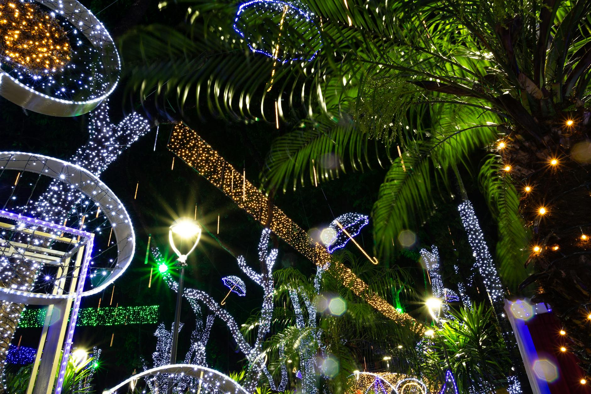 Girlandy świetlne oświetlające palmy w ogrodzie nocą